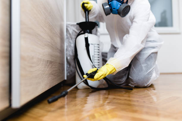 Best Wasp Removal Services  in Devens, MA