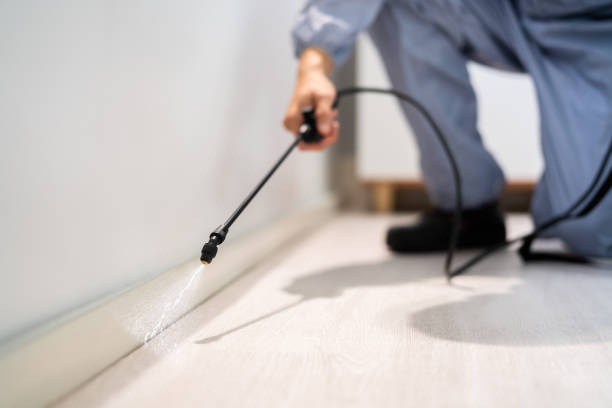 Pest Control for Restaurants in Devens, MA